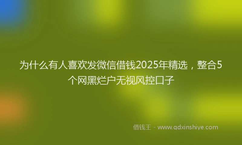 为什么有人喜欢发微信借钱2025年精选，整合5个网黑烂户无视风控口子
