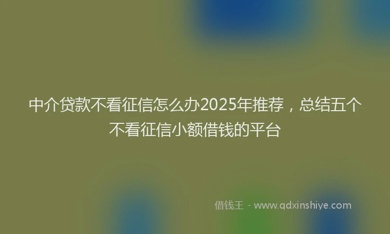 中介贷款不看征信怎么办2025年推荐，总结五个不看征信小额借钱的平台