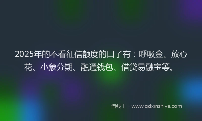 2025年的不看征信额度的口子有：呼吸金、放心花、小象分期、融通钱包、借贷易融宝等。