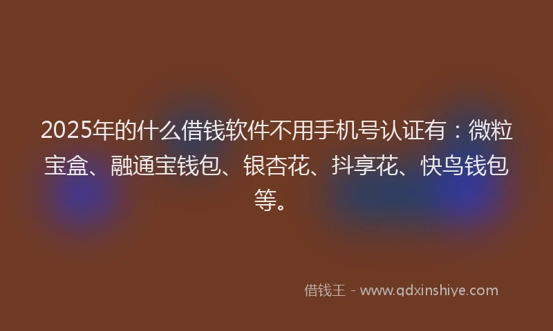 2025年的什么借钱软件不用手机号认证有：微粒宝盒、融通宝钱包、银杏花、抖享花、快鸟钱包等。