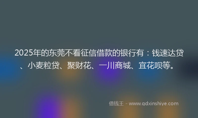 2025年的东莞不看征信借款的银行有：钱速达贷、小麦粒贷、聚财花、一川商城、宜花呗等。