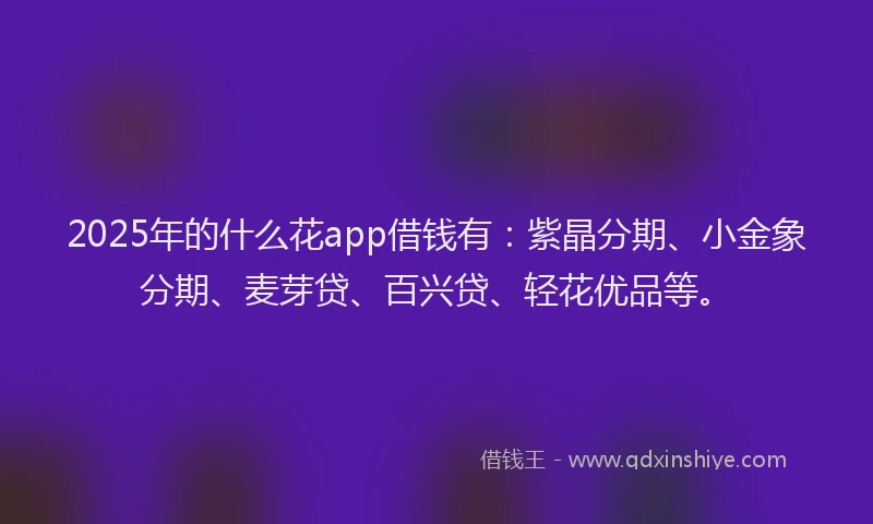 2025年的什么花app借钱有：紫晶分期、小金象分期、麦芽贷、百兴贷、轻花优品等。