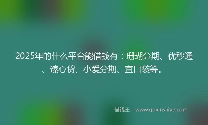 2025年的什么平台能借钱有：珊瑚分期、优秒通、臻心贷、小爱分期、宜口袋等。