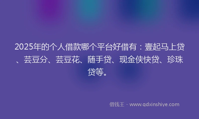 2025年的个人借款哪个平台好借有：壹起马上贷、芸豆分、芸豆花、随手贷、现金侠快贷、珍珠贷等。