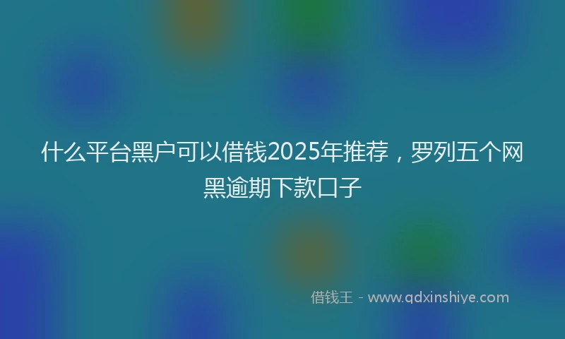 什么平台黑户可以借钱2025年推荐，罗列五个网黑逾期下款口子