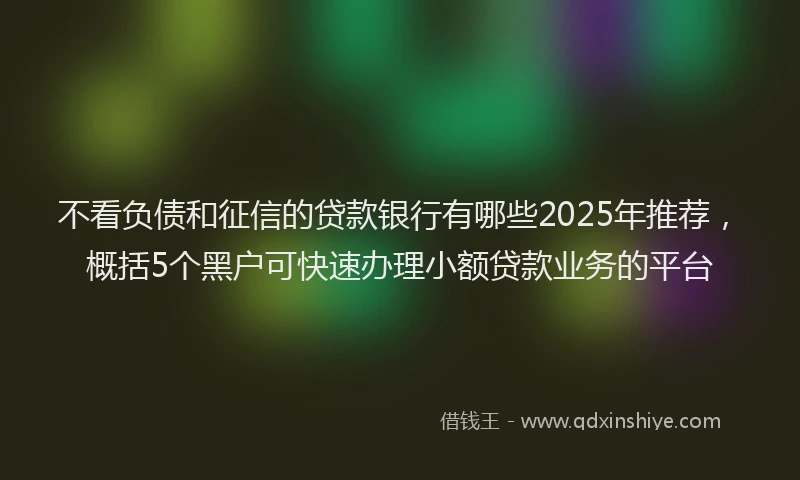 不看负债和征信的贷款银行有哪些2025年推荐，概括5个黑户可快速办理小额贷款业务的平台