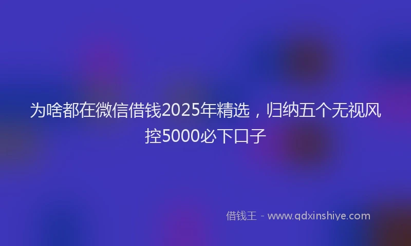 为啥都在微信借钱2025年精选，归纳五个无视风控5000必下口子