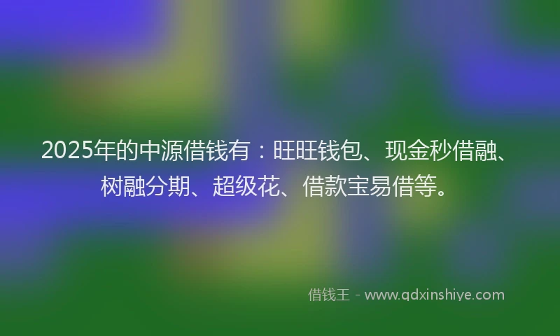 2025年的中源借钱有：旺旺钱包、现金秒借融、树融分期、超级花、借款宝易借等。