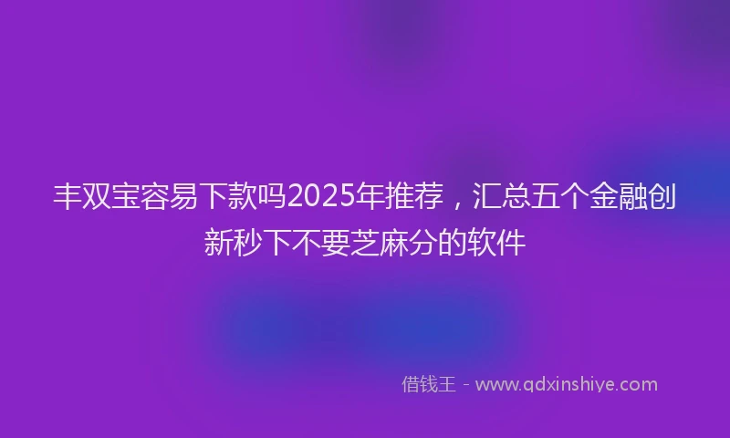 丰双宝容易下款吗2025年推荐，汇总五个金融创新秒下不要芝麻分的软件