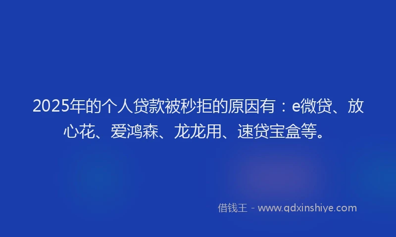 2025年的个人贷款被秒拒的原因有：e微贷、放心花、爱鸿森、龙龙用、速贷宝盒等。
