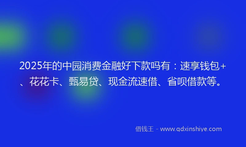 2025年的中园消费金融好下款吗有：速享钱包+、花花卡、甄易贷、现金流速借、省呗借款等。