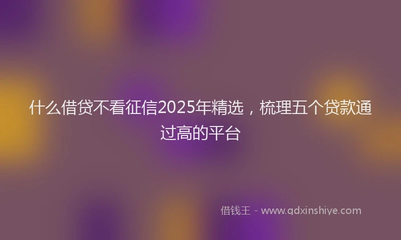 什么借贷不看征信2025年精选，梳理五个贷款通过高的平台