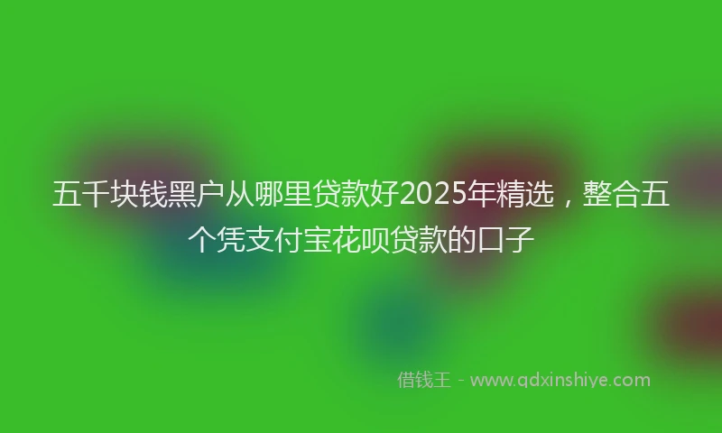 五千块钱黑户从哪里贷款好2025年精选，整合五个凭支付宝花呗贷款的口子