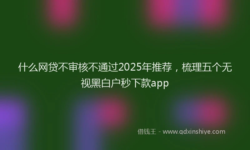 什么网贷不审核不通过2025年推荐，梳理五个无视黑白户秒下款app