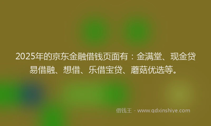 2025年的京东金融借钱页面有：金满堂、现金贷易借融、想借、乐借宝贷、蘑菇优选等。