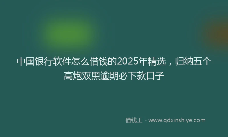 中国银行软件怎么借钱的2025年精选，归纳五个高炮双黑逾期必下款口子
