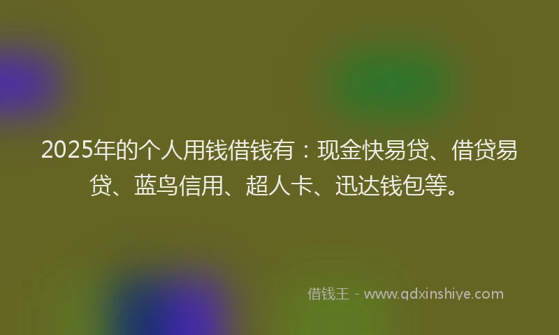 2025年的个人用钱借钱有：现金快易贷、借贷易贷、蓝鸟信用、超人卡、迅达钱包等。