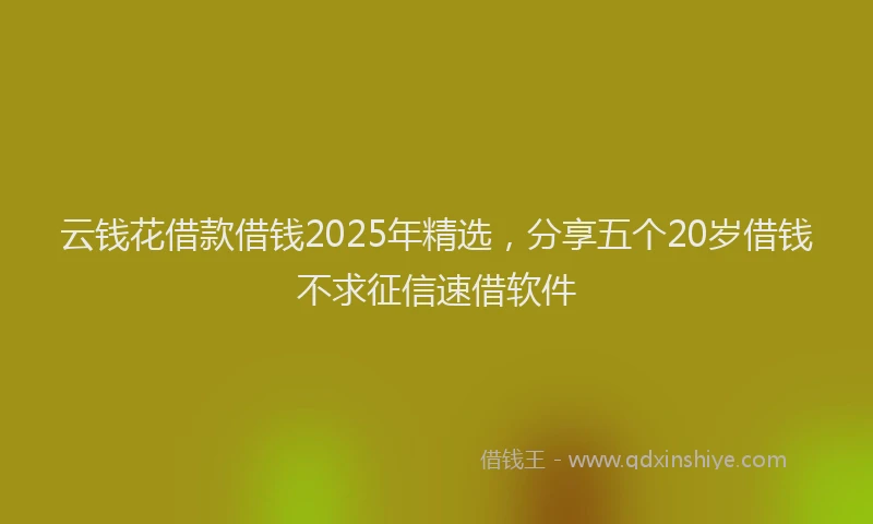 云钱花借款借钱2025年精选，分享五个20岁借钱不求征信速借软件