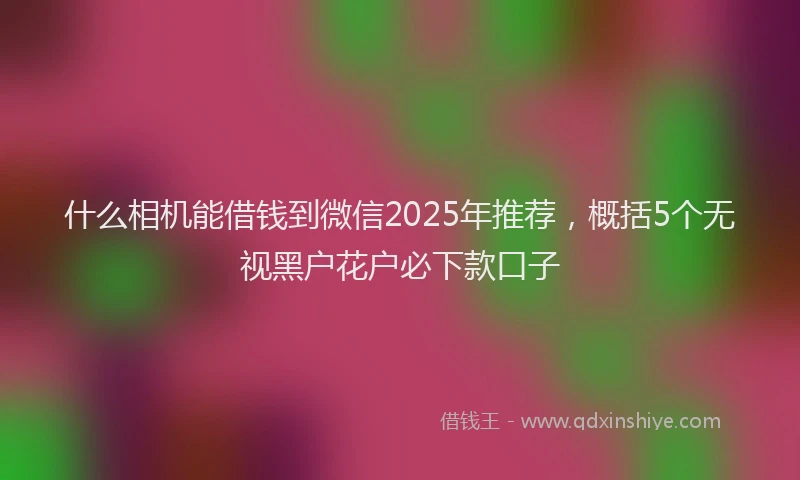 什么相机能借钱到微信2025年推荐，概括5个无视黑户花户必下款口子