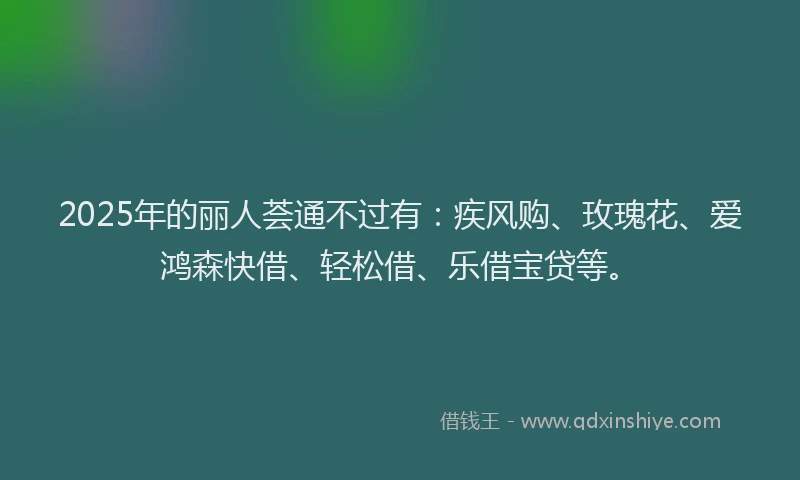 2025年的丽人荟通不过有：疾风购、玫瑰花、爱鸿森快借、轻松借、乐借宝贷等。
