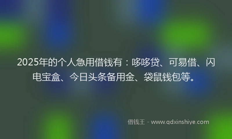 2025年的个人急用借钱有：哆哆贷、可易借、闪电宝盒、今日头条备用金、袋鼠钱包等。