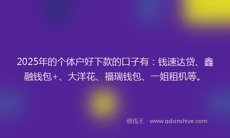 2025年的个体户好下款的口子有：钱速达贷、鑫融钱包+、大洋花、福瑞钱包、一姐租机等。