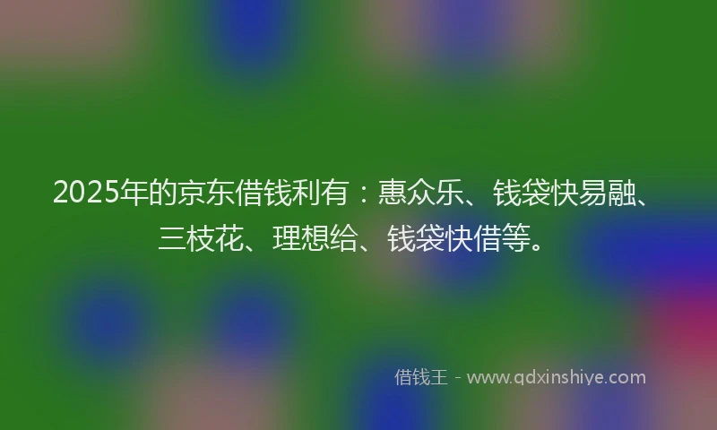 2025年的京东借钱利有：惠众乐、钱袋快易融、三枝花、理想给、钱袋快借等。
