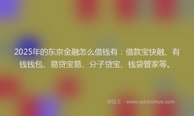 2025年的东京金融怎么借钱有：借款宝快融、有钱钱包、易贷宝易、分子贷宝、钱袋管家等。