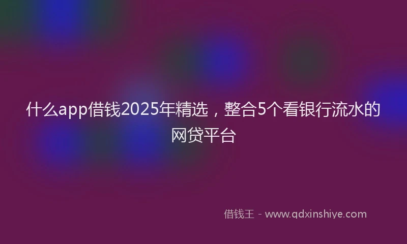 什么app借钱2025年精选，整合5个看银行流水的网贷平台
