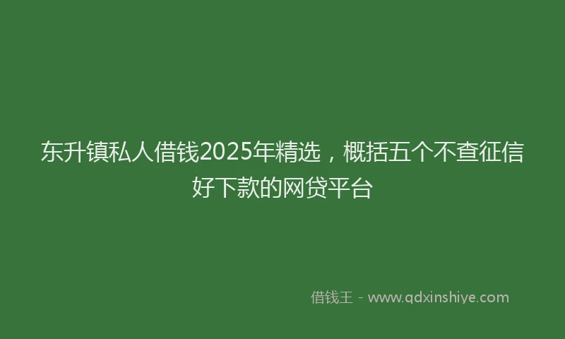 东升镇私人借钱2025年精选，概括五个不查征信好下款的网贷平台