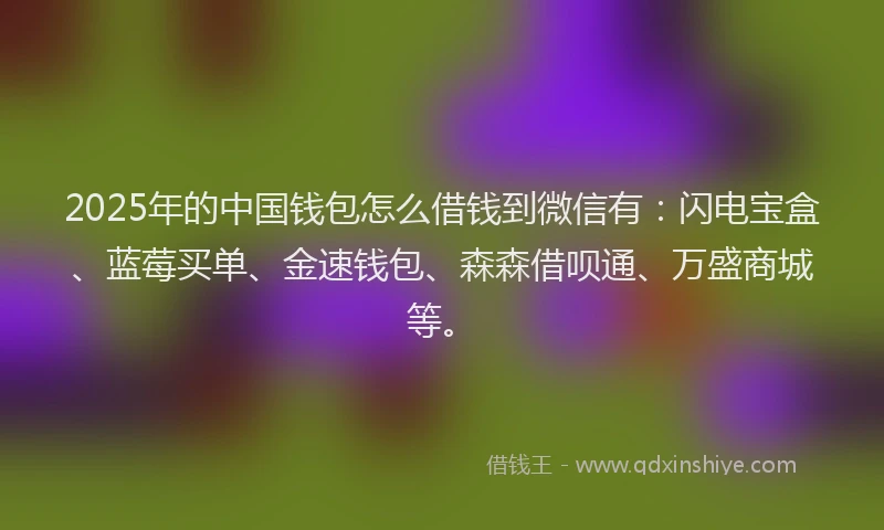 2025年的中国钱包怎么借钱到微信有：闪电宝盒、蓝莓买单、金速钱包、森森借呗通、万盛商城等。