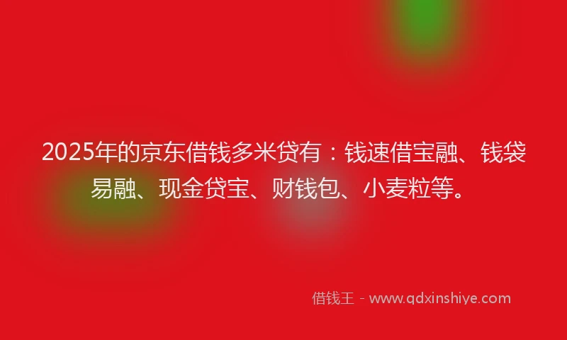 2025年的京东借钱多米贷有：钱速借宝融、钱袋易融、现金贷宝、财钱包、小麦粒等。