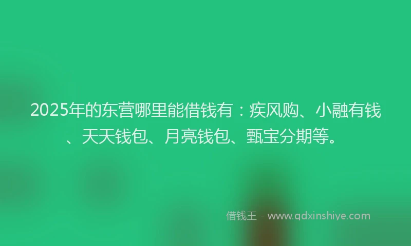 2025年的东营哪里能借钱有：疾风购、小融有钱、天天钱包、月亮钱包、甄宝分期等。