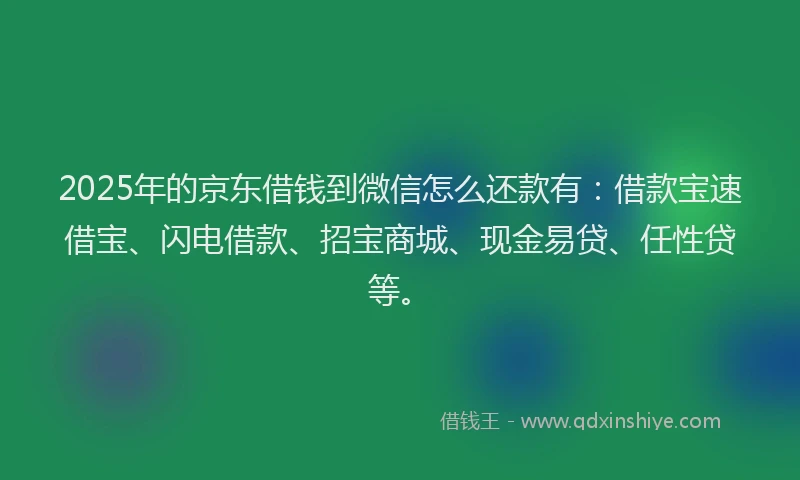 2025年的京东借钱到微信怎么还款有：借款宝速借宝、闪电借款、招宝商城、现金易贷、任性贷等。