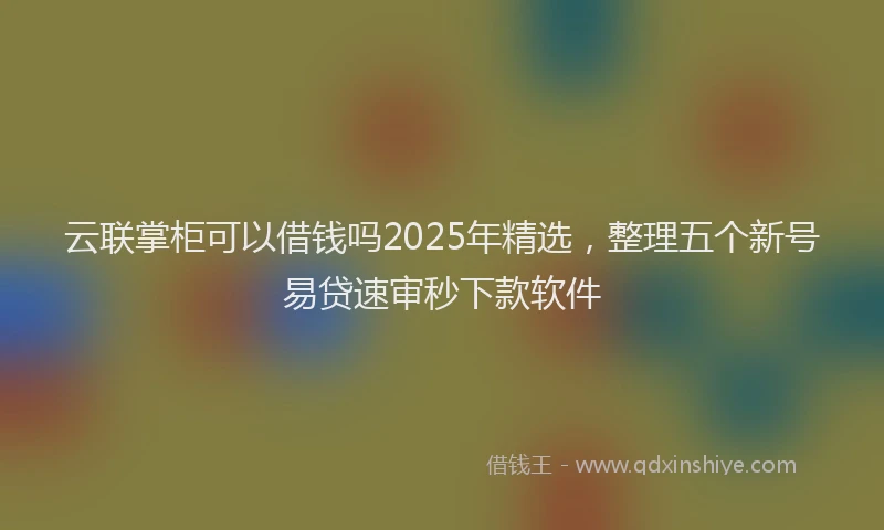 云联掌柜可以借钱吗2025年精选，整理五个新号易贷速审秒下款软件