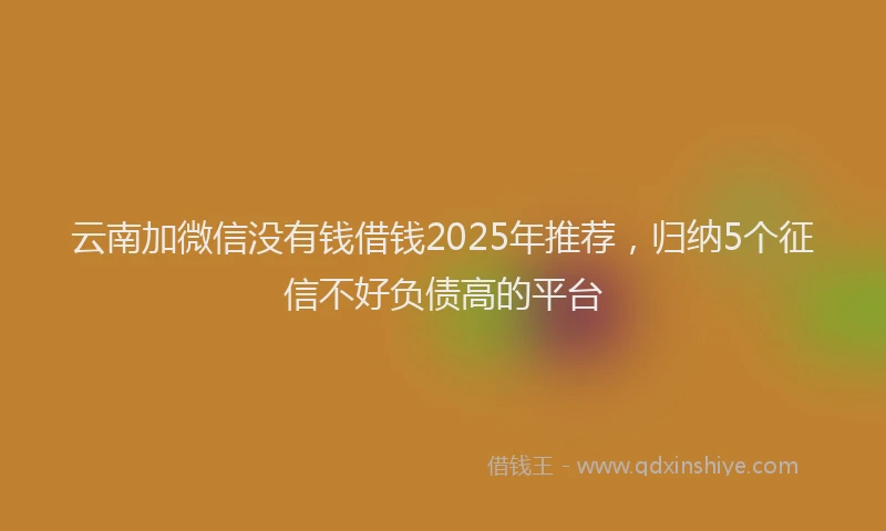 云南加微信没有钱借钱2025年推荐，归纳5个征信不好负债高的平台