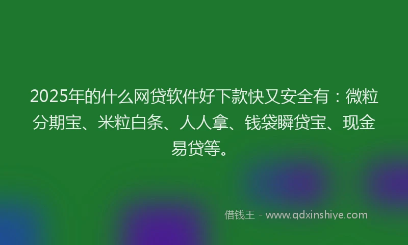 2025年的什么网贷软件好下款快又安全有：微粒分期宝、米粒白条、人人拿、钱袋瞬贷宝、现金易贷等。