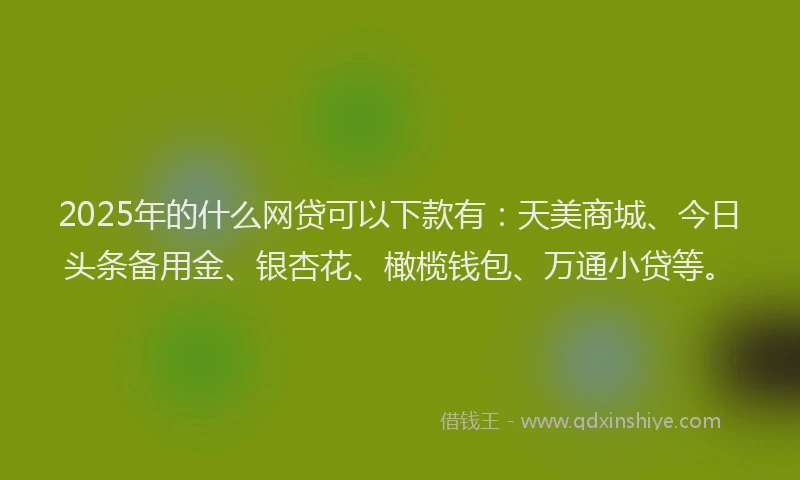 2025年的什么网贷可以下款有：天美商城、今日头条备用金、银杏花、橄榄钱包、万通小贷等。