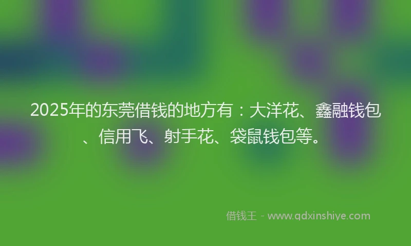 2025年的东莞借钱的地方有：大洋花、鑫融钱包、信用飞、射手花、袋鼠钱包等。