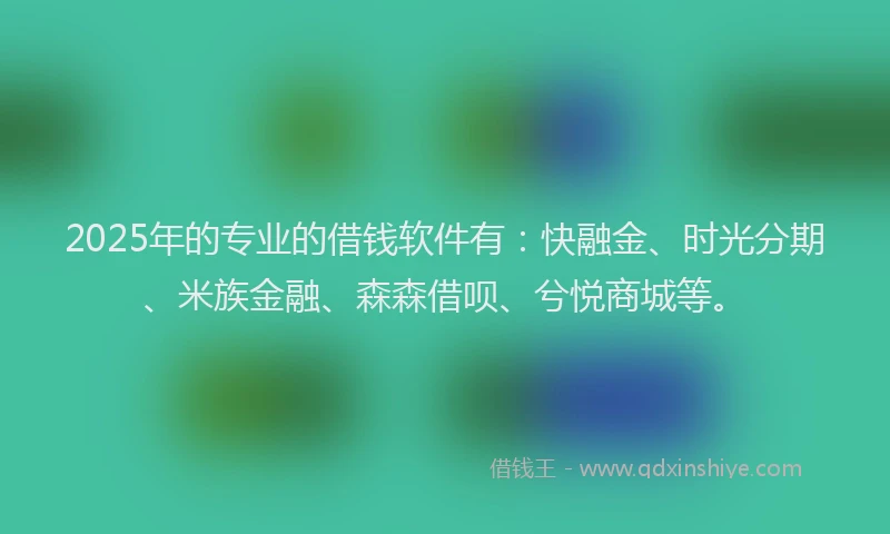 2025年的专业的借钱软件有：快融金、时光分期、米族金融、森森借呗、兮悦商城等。