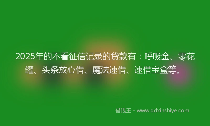 2025年的不看征信记录的贷款有：呼吸金、零花罐、头条放心借、魔法速借、速借宝盒等。
