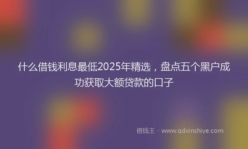 什么借钱利息最低2025年精选，盘点五个黑户成功获取大额贷款的口子