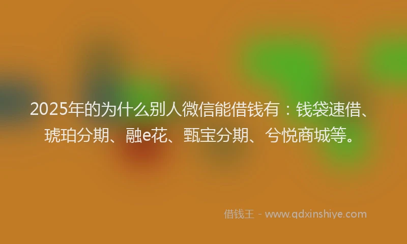 2025年的为什么别人微信能借钱有：钱袋速借、琥珀分期、融e花、甄宝分期、兮悦商城等。