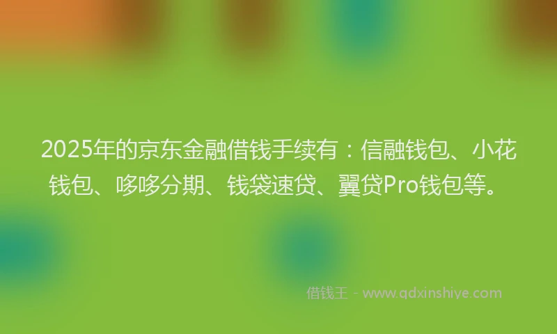 2025年的京东金融借钱手续有：信融钱包、小花钱包、哆哆分期、钱袋速贷、翼贷Pro钱包等。