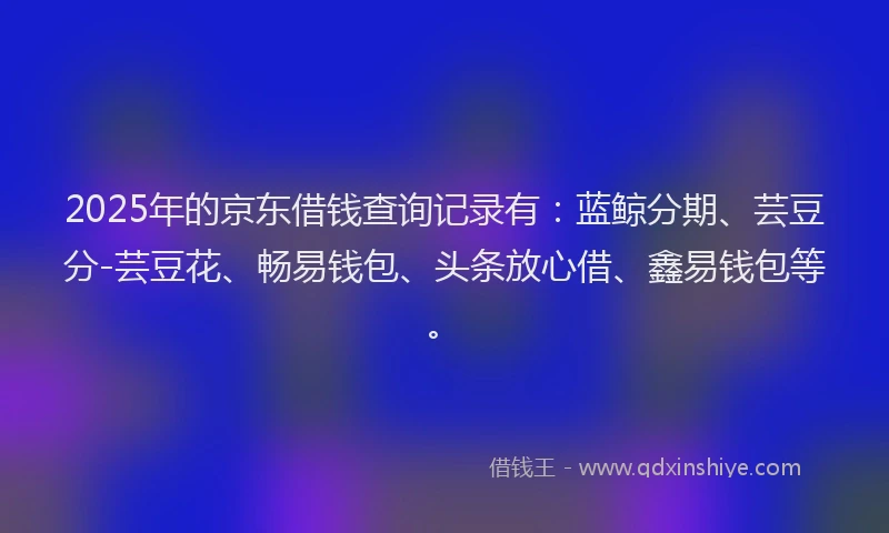 2025年的京东借钱查询记录有：蓝鲸分期、芸豆分-芸豆花、畅易钱包、头条放心借、鑫易钱包等。