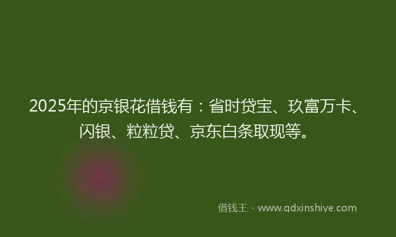 2025年的京银花借钱有：省时贷宝、玖富万卡、闪银、粒粒贷、京东白条取现等。