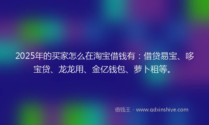 2025年的买家怎么在淘宝借钱有：借贷易宝、哆宝贷、龙龙用、金亿钱包、萝卜租等。