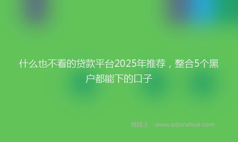 什么也不看的贷款平台2025年推荐，整合5个黑户都能下的口子