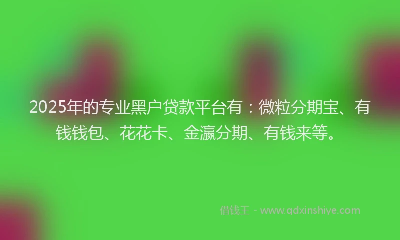 2025年的专业黑户贷款平台有：微粒分期宝、有钱钱包、花花卡、金瀛分期、有钱来等。
