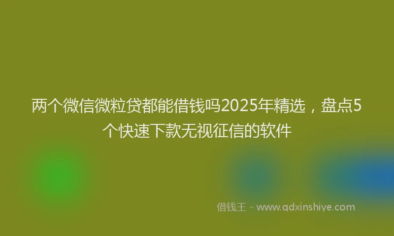 两个微信微粒贷都能借钱吗2025年精选，盘点5个快速下款无视征信的软件